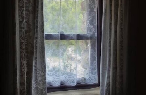 Spiddal Cottage | Artists' Cottage (Entire) @ Multi Award-Winning Cnoc Suain