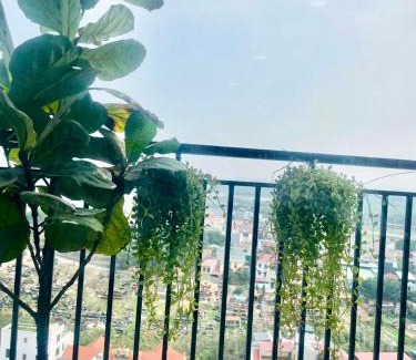 Bac Ninh Apartment | Asa apartment