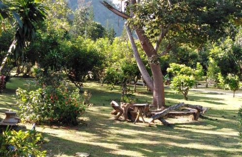 Chiang Dao Resort | At Home Chiang Dao, Pooch Lovers