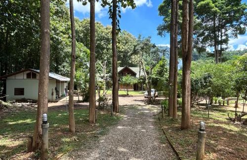 Chiang Dao Resort | At Home Chiang Dao, Pooch Lovers