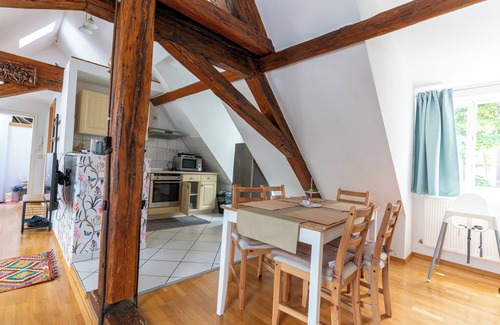 Biebrich Apartment | Attic Apartment at Schlosspark