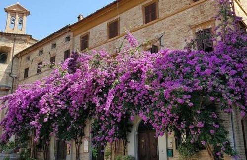 Corinaldo Hotel | ATTICO SULLA BOUGANVILLE (Albergo diffuso)