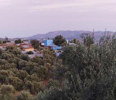 Zoumi House | auberge yeswal aoulad yaakoube