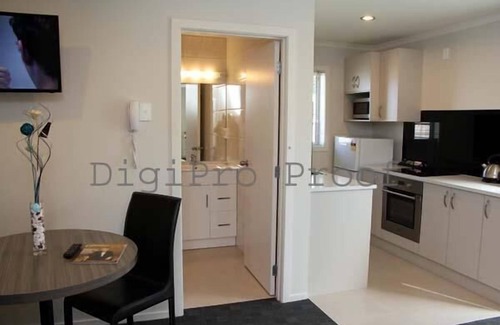 Remuera Hotel | Auckland Phoenix Palm