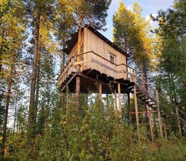 Arvidsjaur Other | Aurora Lodge