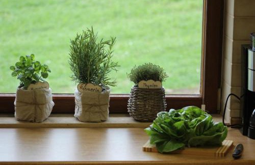 Neuravensburg Apartment | Auszeit auf dem Lindenhof