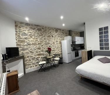 Tournon-sur-Rhone Apartment | Authentic