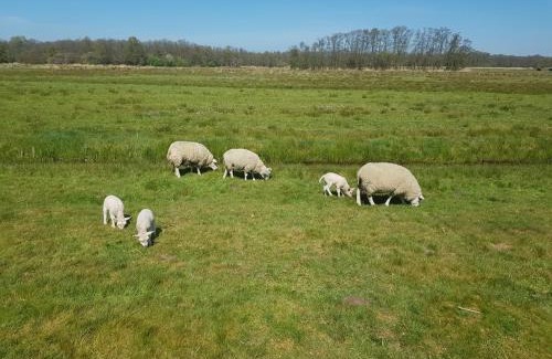 Loon Villa | Authentic villa near Amsterdam and nature