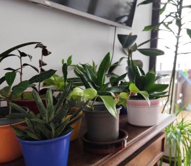 Innenstadt - Sankt Ulrich-Dom House | Avea - Accessible Downtown Retreat near Hofgarten