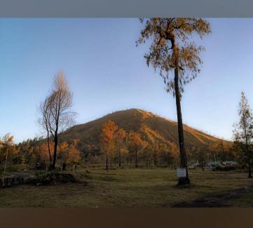 Kajarharjo Hotel | Avrilla Ijen Homestay & Cafe