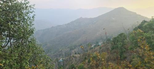 Sirala House | Awadh Niwas A Home in the Heart of the Forest