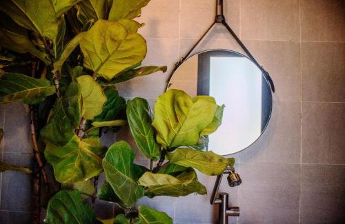 Lam Ha Cabin | Bơ Trên Đồi Homestay