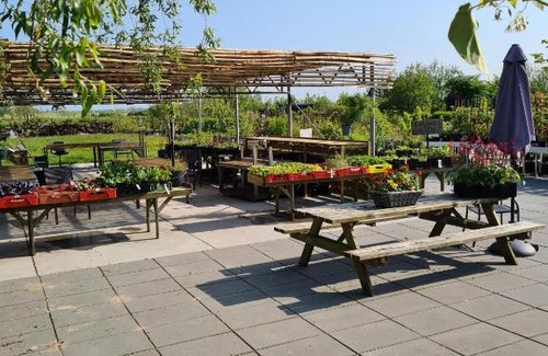 Rinsumageest Bed & Breakfast | B&B Aan de Fjildwei