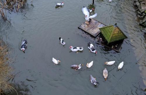 Worton Bed & Breakfast | B&B at The Old Mill