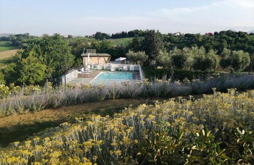Castorano Bed & Breakfast | B&B Il Gelso Country House