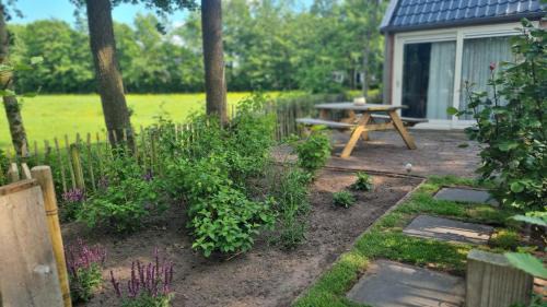 Noardburgum Bed & Breakfast | B&B in de Roos