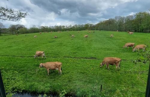 Noardburgum Bed & Breakfast | B&B in de Roos