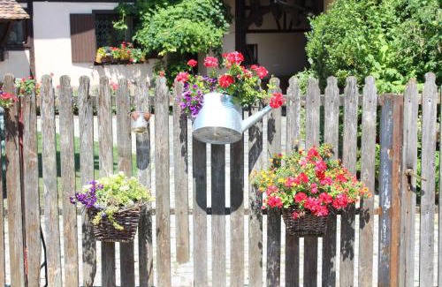 Weyersheim Bed & Breakfast | B&B La Tête dans les Etoiles