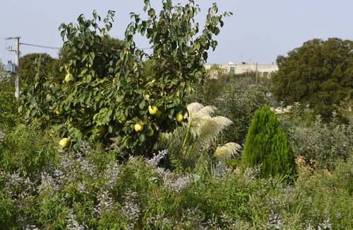 Noci Bed & Breakfast | B&B Villa Lavanda