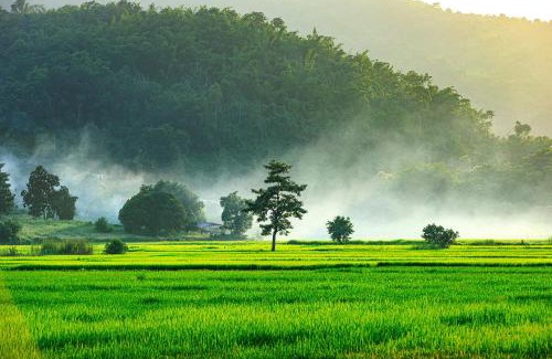 Tha Sut House | Baan Sin Suk