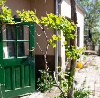 Karanac House | Baba Jagina koliba