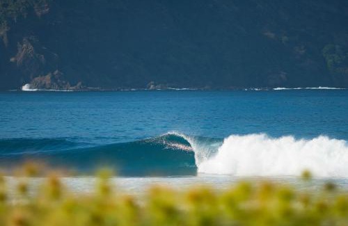 Sekongkang Resort | Baha Baha Villas West Sumbawa Yoyos Wellness Center, Gym, Yoga, Skate Park, Bar & Cafe