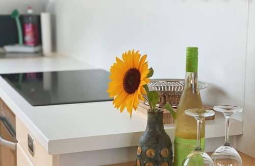 Neustadt-Haardt Apartment | Balcony of the Palatinate - apartment, shower and bath, toilet, 1 bedroom