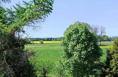 Sanitz Apartment | Baldies Tenne in Ostseenähe