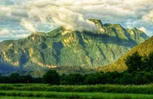 Mueang Ngai Resort | Ban Thung Talay Mok Chiangdao