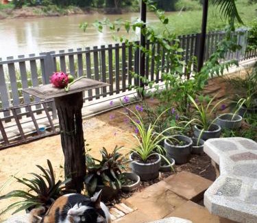 Ayutthaya House | Banjearanaihomestay Ayutthaya