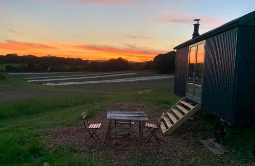 Chiddingstone Other | Barbara Shepherds Hut