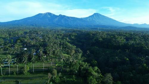 Tetebatu House | Bareng Homestay Tetebatu