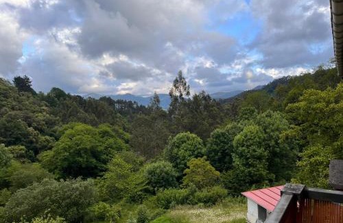 Sopuerta Ski Chalet | Basoan etxea