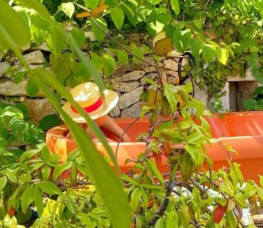 Noailles Bed & Breakfast | Bastida de Beata