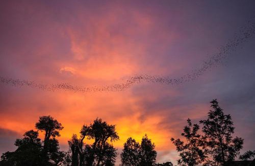 Wang Katha Resort | Bat Cave Glamping Khao Yai