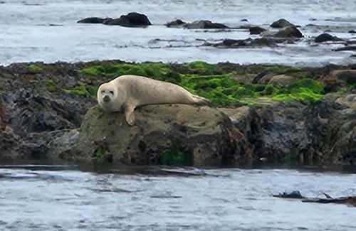 Liscannor House | Bay View House