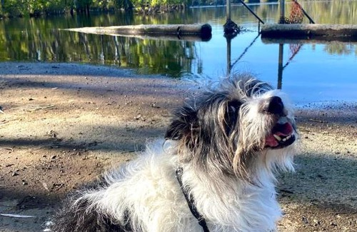 Koonoomoo Other | Beach view