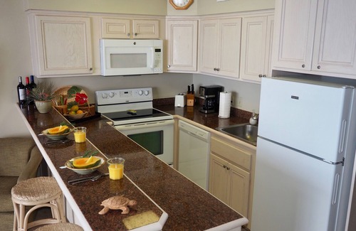 Honokowai Condo | Beachfront Gem - Spectacular Sunsets-Whales, Whales and Whales Maui Style!