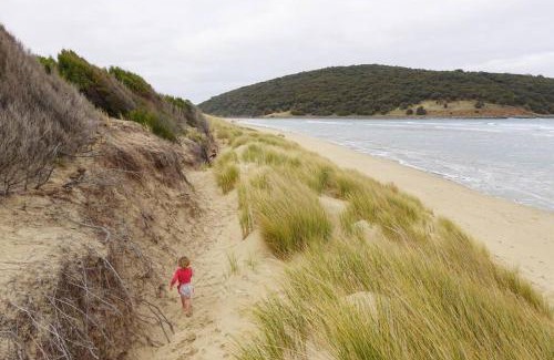 Carlton House | Beachside Family Surf Retreat