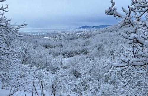 Zagreb Apartment | “Bear Hill” Apartments