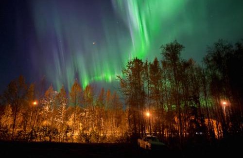 Chugiak House | Bear Mountain View 4BR Home- Only 25 Min from Anchorage, Great Central location ,- 5 star property