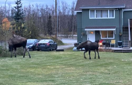 Chugiak House | Bear Mountain View 4BR Home- Only 25 Min from Anchorage, Great Central location ,- 5 star property