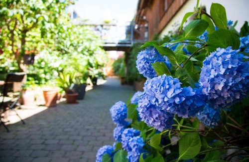 Munzenberg Bed & Breakfast | Beate's Bed & Breakfast