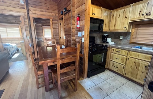 Almont Cabin | Beautiful 2 Bedroom Cabin on Taylor River with Private Hot Tub