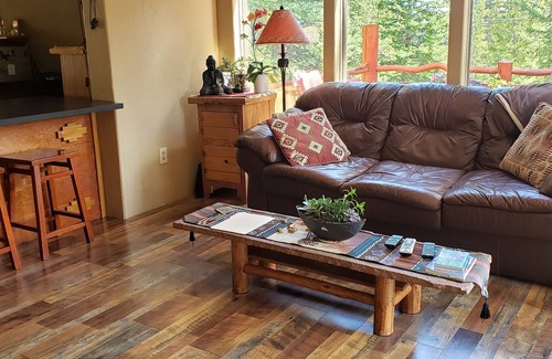 Alma House | Beautiful A frame house with great views of Mt Lincoln and Mt Bross