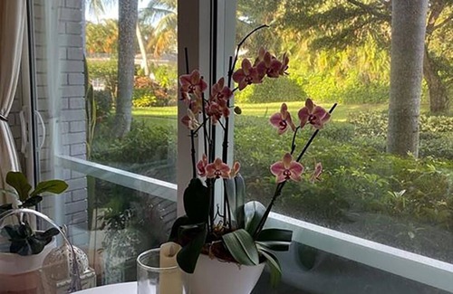 Ridge Lakes Condo | Beautiful Condo - minutes from beach, design district, restaurants and more!