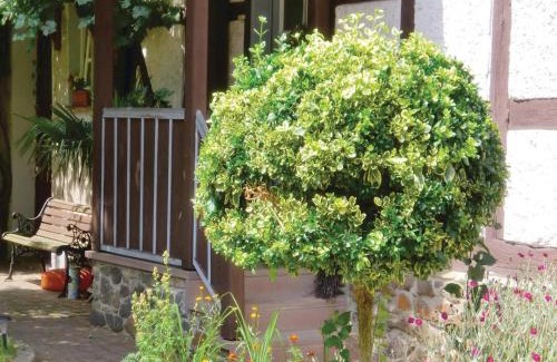 Dankerode House | Beautiful Home In Harzgerode-Dankerode