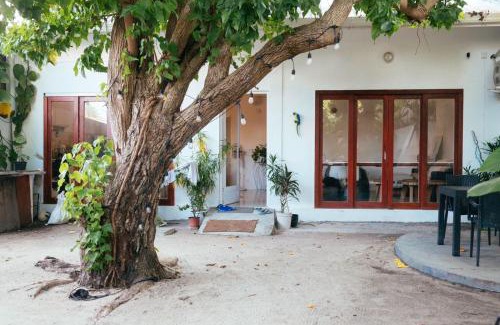 Thulusdhoo Island Villa | Beautiful private 2 bedroom villa - Hale Noa