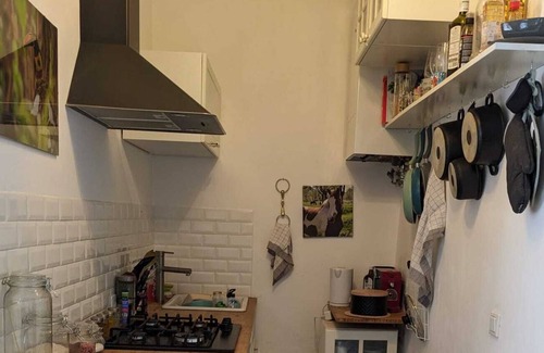 Altlerchenfeld Condo | Beautiful Quite Flat in the City Centre of Vienna