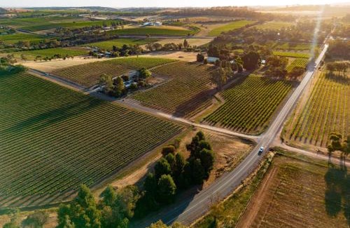 Upper Wakefield Bed & Breakfast | Bed in a Shed Vineyard Stay